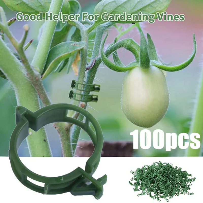 Gardening Tools Holder - 100 قطعة/مشبك دعم النبات العلاقات البلاستيكية