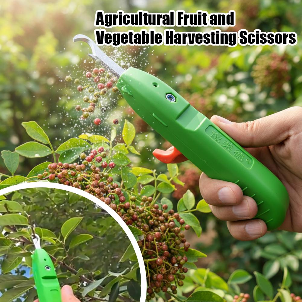 مقصات قطف الفاكهة والخضروات، م - مراجعة Gardening Tools Cutter وسعره