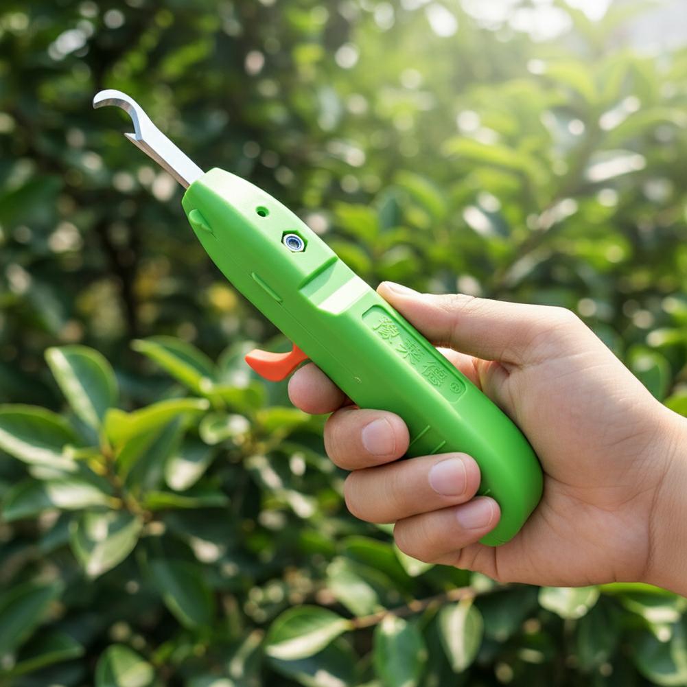 مقصات قطف الفاكهة والخضروات، م - مراجعة Gardening Tools Cutter وسعره