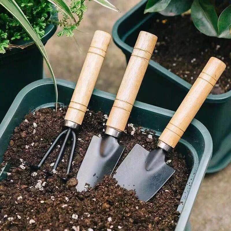 3 قطعة/1 مجموعة أدوات البستنة  - مراجعة Gardening Tools Shop وسعره