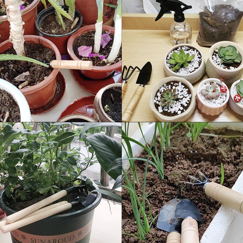 3 قطعة/1 مجموعة أدوات البستنة  - مراجعة Gardening Tools Shop وسعره