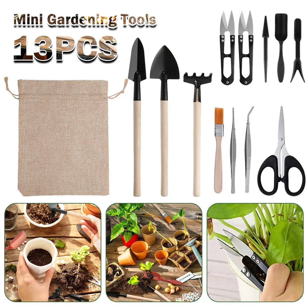 مجموعة أدوات النباتات العصارية - مراجعة Gardening Tools Kit For Home Garden وسعره