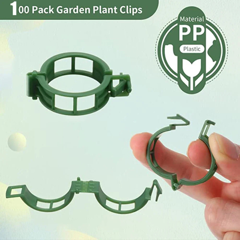 100 قطعة/مشبك دعم النبات العلا - مراجعة Gardening Tools Holder وسعره
