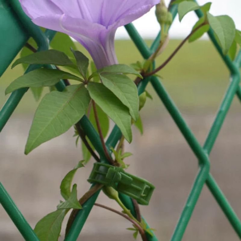 100 قطعة/مشبك دعم النبات العلا - مراجعة Gardening Tools Holder وسعره