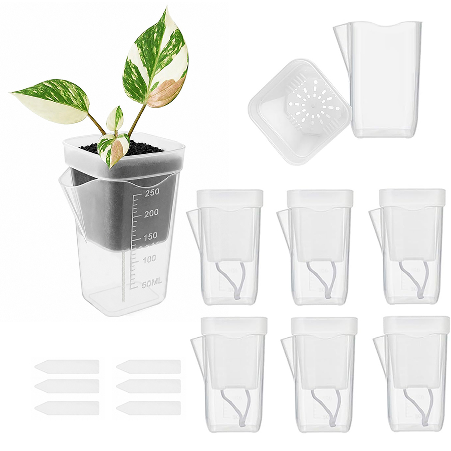 12/24 قطعة من أواني النباتات ا - مراجعة Gardening Tools Kit For Home Garden وسعره