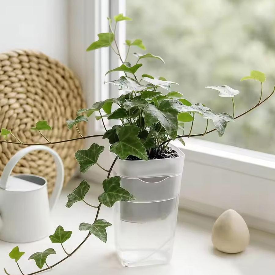 12/24 قطعة من أواني النباتات ا - مراجعة Gardening Tools Kit For Home Garden وسعره