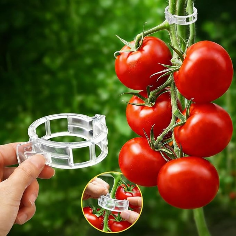 300/50 قطعة مشابك دعم النباتات - مراجعة Gardening Tools Holder وسعره